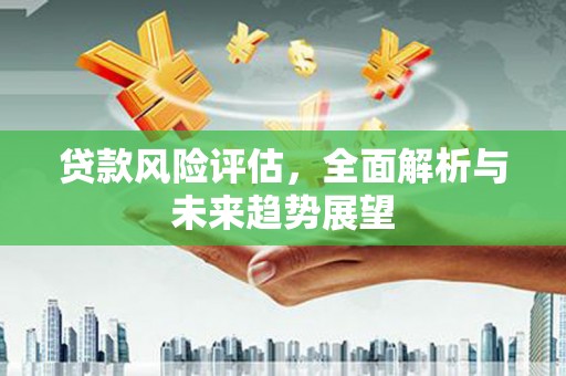 横沥贷款风险评估，全面解析与未来趋势展望