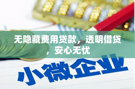 横沥无隐藏费用贷款，透明借贷，安心无忧