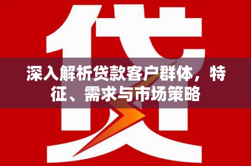 横沥深入解析贷款客户群体，特征、需求与市场策略