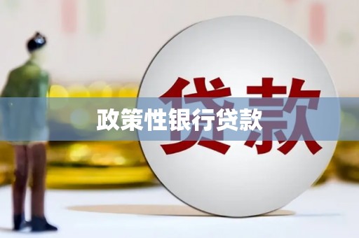 横沥政策性银行贷款