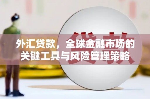 横沥外汇贷款，全球金融市场的关键工具与风险管理策略