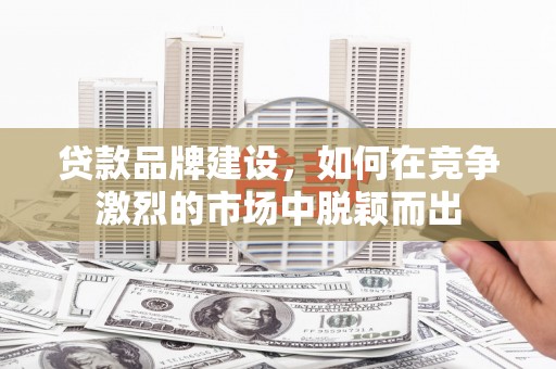 横沥贷款品牌建设，如何在竞争激烈的市场中脱颖而出