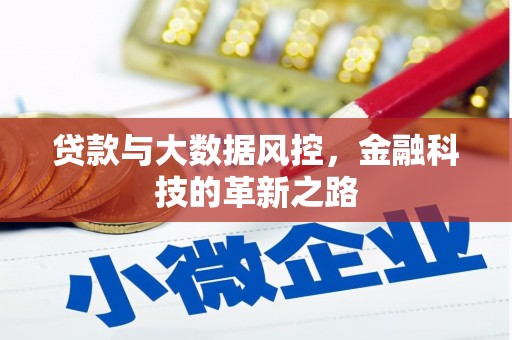 横沥贷款与大数据风控，金融科技的革新之路
