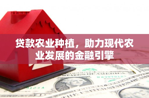 横沥贷款农业种植，助力现代农业发展的金融引擎