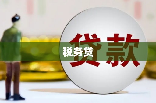 横沥税务贷