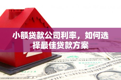 横沥小额贷款公司利率，如何选择最佳贷款方案