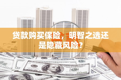 横沥贷款购买保险，明智之选还是隐藏风险？