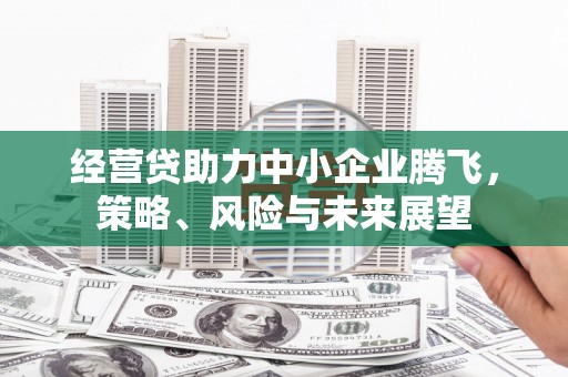 横沥经营贷助力中小企业腾飞，策略、风险与未来展望