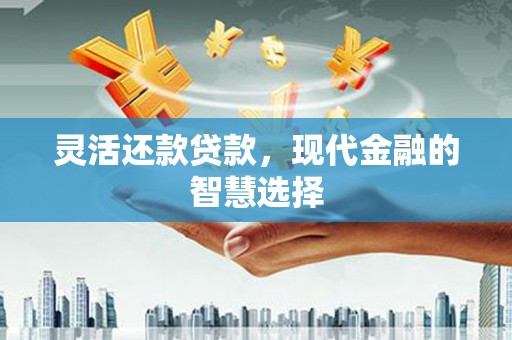 横沥灵活还款贷款，现代金融的智慧选择