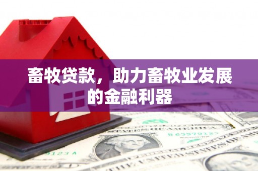 横沥畜牧贷款，助力畜牧业发展的金融利器