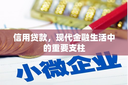 横沥信用贷款，现代金融生活中的重要支柱