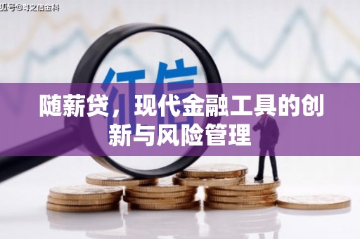 横沥随薪贷，现代金融工具的创新与风险管理