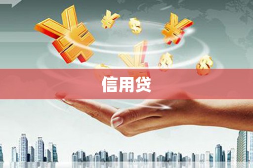横沥信用贷