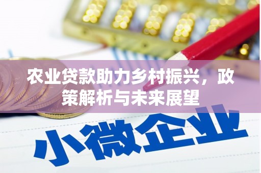 横沥农业贷款助力乡村振兴，政策解析与未来展望