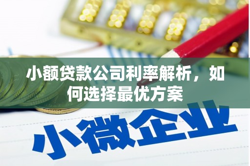 横沥小额贷款公司利率解析，如何选择最优方案