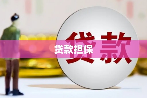 横沥贷款担保