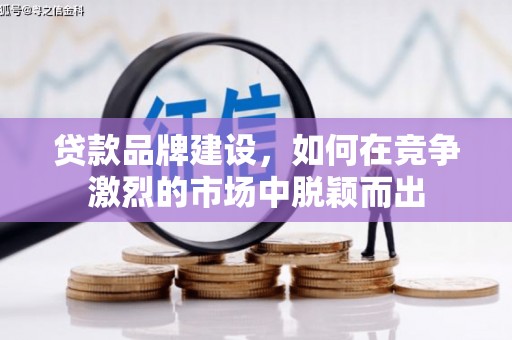 横沥贷款品牌建设，如何在竞争激烈的市场中脱颖而出