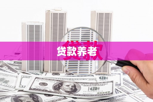 横沥贷款养老