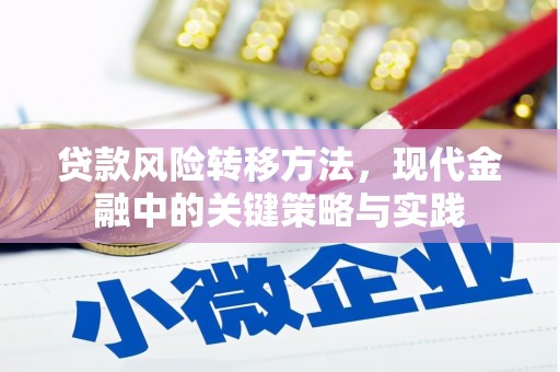 横沥贷款风险转移方法，现代金融中的关键策略与实践