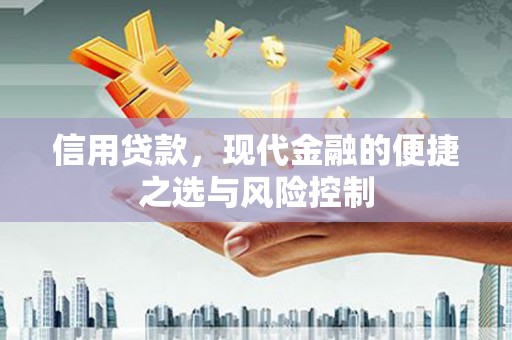 横沥信用贷款，现代金融的便捷之选与风险控制