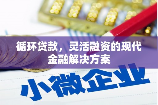 横沥循环贷款，灵活融资的现代金融解决方案