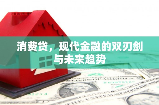 横沥消费贷，现代金融的双刃剑与未来趋势