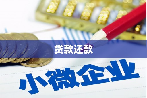 横沥贷款还款