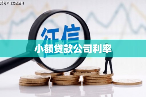 横沥小额贷款公司利率
