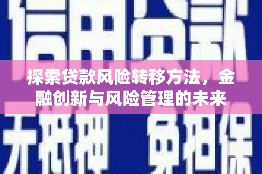 横沥探索贷款风险转移方法，金融创新与风险管理的未来