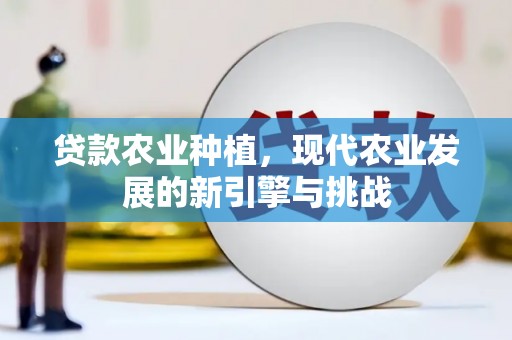 横沥贷款农业种植，现代农业发展的新引擎与挑战
