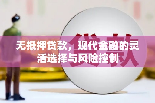 横沥无抵押贷款，现代金融的灵活选择与风险控制
