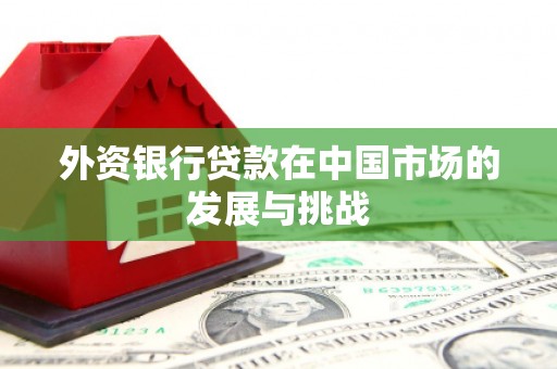 横沥外资银行贷款在中国市场的发展与挑战