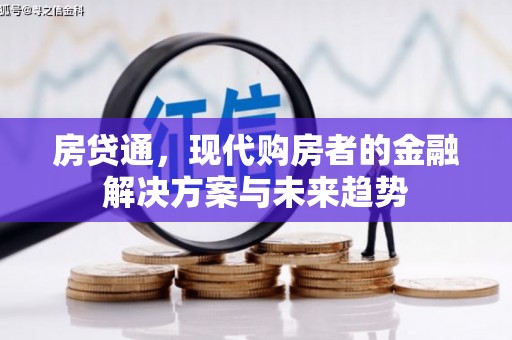 横沥房贷通，现代购房者的金融解决方案与未来趋势