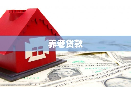 横沥养老贷款