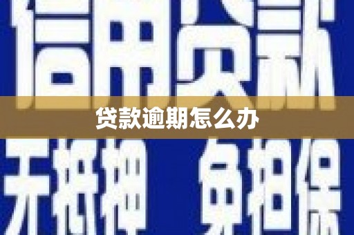 横沥贷款逾期怎么办
