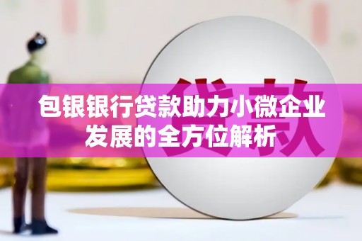 横沥包银银行贷款助力小微企业发展的全方位解析
