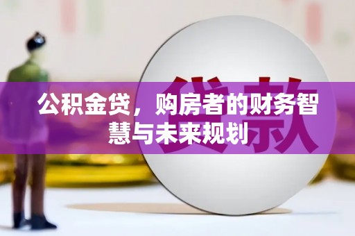 横沥公积金贷，购房者的财务智慧与未来规划