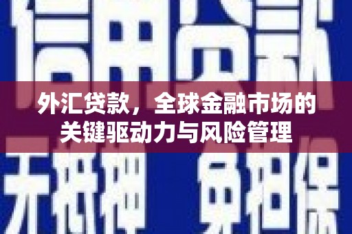 横沥外汇贷款，全球金融市场的关键驱动力与风险管理