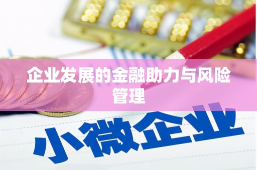 横沥企业发展的金融助力与风险管理