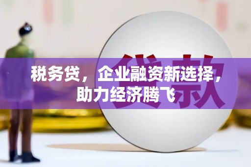 横沥税务贷，企业融资新选择，助力经济腾飞
