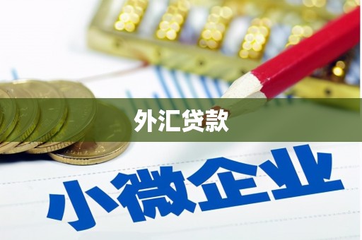 横沥外汇贷款