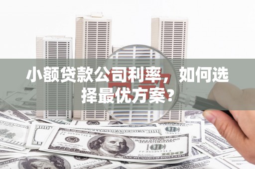 横沥小额贷款公司利率，如何选择最优方案？