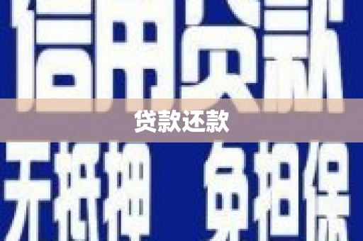 横沥贷款还款
