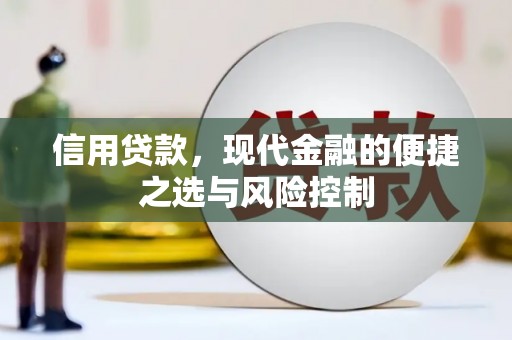横沥信用贷款，现代金融的便捷之选与风险控制