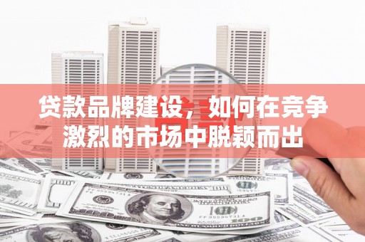 横沥贷款品牌建设，如何在竞争激烈的市场中脱颖而出