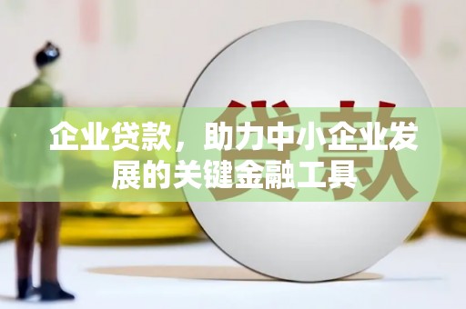 横沥企业贷款，助力中小企业发展的关键金融工具
