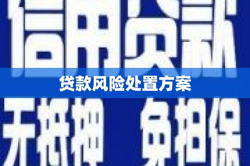 横沥贷款风险处置方案