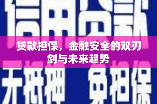 横沥贷款担保，金融安全的双刃剑与未来趋势