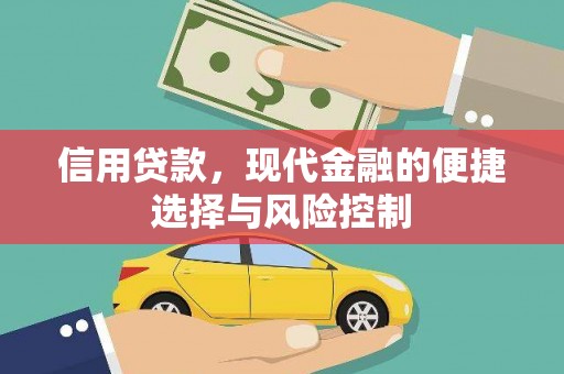 横沥信用贷款，现代金融的便捷选择与风险控制
