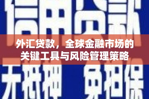 横沥外汇贷款，全球金融市场的关键工具与风险管理策略